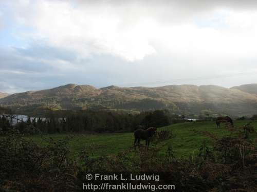 Green Road, Sligo